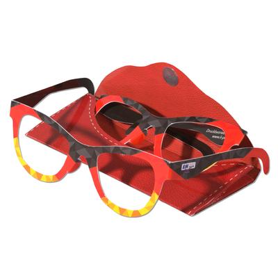 Optiker Brillenetui und Brille