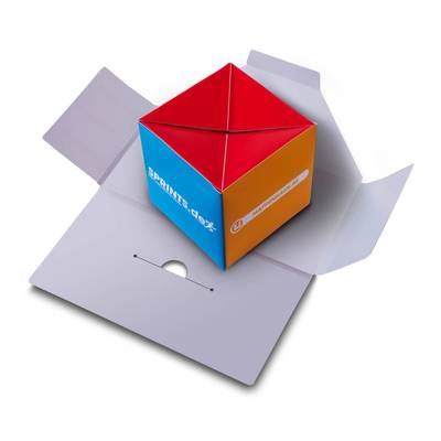 Mailing mit Spring-Würfel