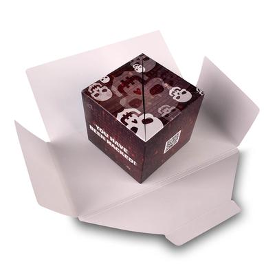 Springwürfel SECURITY Mailing