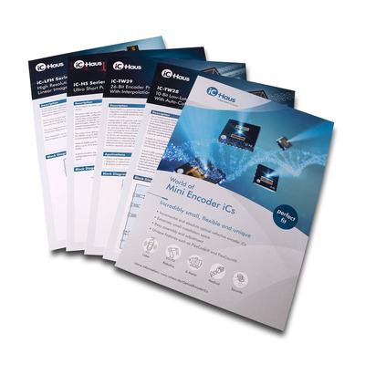 Standard-Flyer Image Sensor