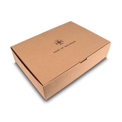 Direct Mailing Brauner Maxibrief
