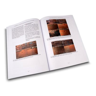 Sonderdruck Tagung IFS