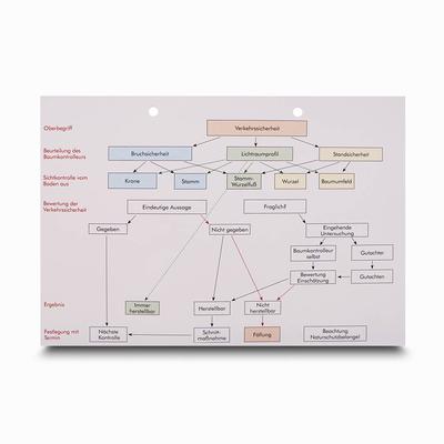 Produktionsflussdiagramm Baumkotrolle