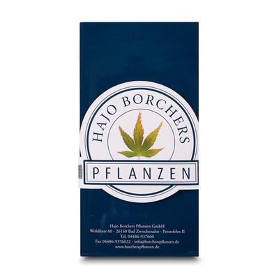 Einladungskarte Pflanzen